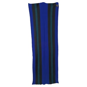 Acne Studios gestreepte sjaal van veelkleurige wol