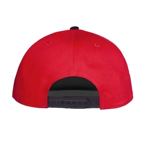 Pokemon Volwassen unisex Pokeball Honkbalpet (Rood/Wit/Zwart)