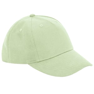 Beechfield 5 Panelen Biologisch Katoenen Baseball Cap (Pistachio)