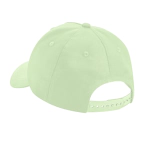 Beechfield 5 Panelen Biologisch Katoenen Baseball Cap (Pistachio)