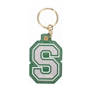 Harry Potter Slytherin Sleutelhanger (Groen/Grijs)