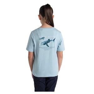 Craghoppers Kinderen/Kinderen Ellis Walvis Haai T-Shirt (Hemelsblauw)