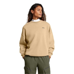 Under Armour Unisex Adult Crew Neck Oversized Sweatshirt (Bruin)
