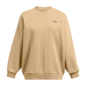 Under Armour Unisex Adult Crew Neck Oversized Sweatshirt (Bruin)