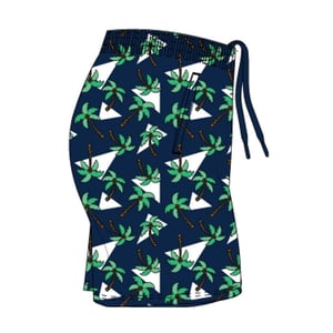 Arena Nieuwheidsshort heren (Marine / Wit)