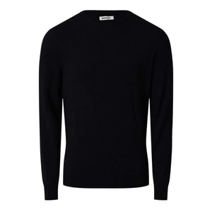 Replay Herentrui met ronde hals van katoenmix (Blauw)