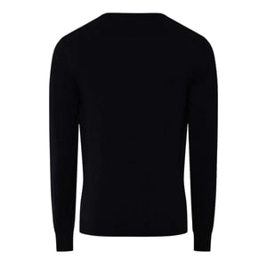 Replay Herentrui met ronde hals van katoenmix (Blauw)
