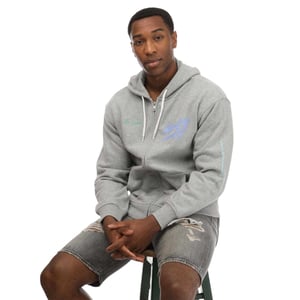 Levis Heren Grafische Full Zip Hoodie (Grijs)