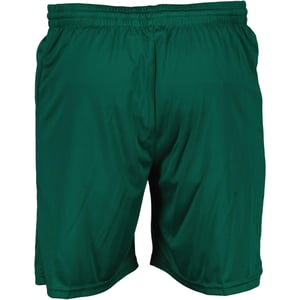 Hummel Core Shorts voor kinderen (Evergreen)