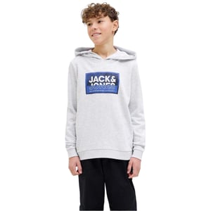 Jack And Jones Kinderen/Kinderen Logan Regular Hoodie (Wit gemêleerd)