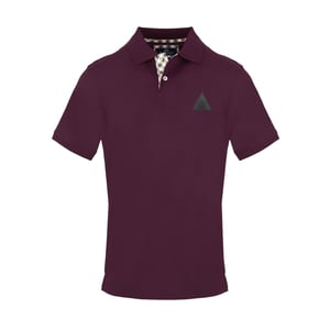 Aquascutum Polo-shirt voor heren met driehoekig logo (Rood)