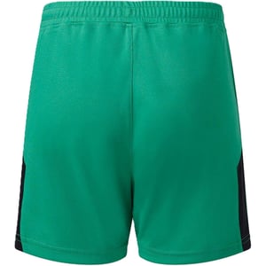 Castore Kinderen/Kids Newcastle United FC Voetbalshorts (Groen/Zwart)
