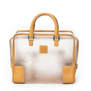 Vintage Transparent Amazona   Handtas