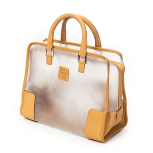 Vintage Transparent Amazona   Handtas