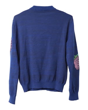 Acne Studio Koray Fruit-Jacquard Trui in Blauw Acryl