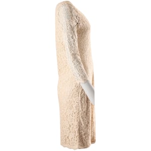 Diane Von Furstenberg Zarita kanten jurk met lange mouwen in beige rayon