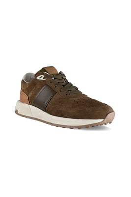 Tod’s Sneakers Bruin