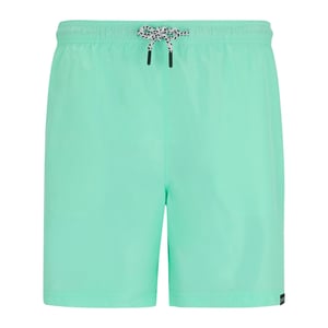 Regatta Heren Mackleyna Zwemshorts (Ijsgroen)