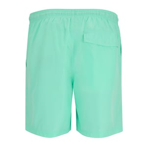 Regatta Heren Mackleyna Zwemshorts (Ijsgroen)