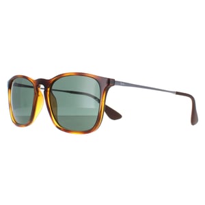 Ray-Ban Zonnebril 4221 622/8G Zwart Rubber Grijs Verloop