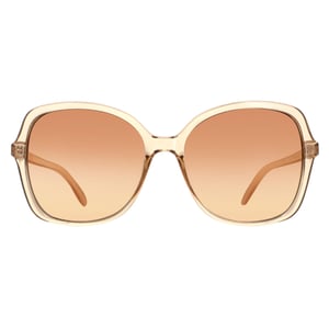 Calvin Klein zonnebril CK19561S 270 Crystal Beige Brown Gradiënt