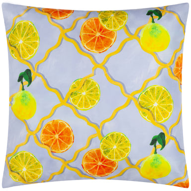 Wylder Nature Citrus Trellis Gedrukte Buiten Kussenhoes