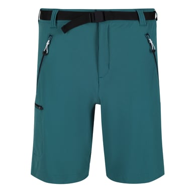 Regatta Heren Xert III Stretch Shorts (Pacifisch Groen)