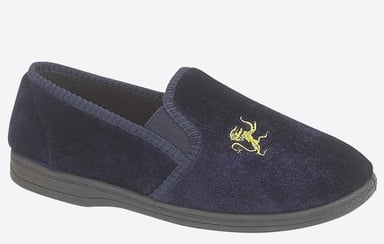 Sleepers Kyle Lion Motif Twin Gusset Junior