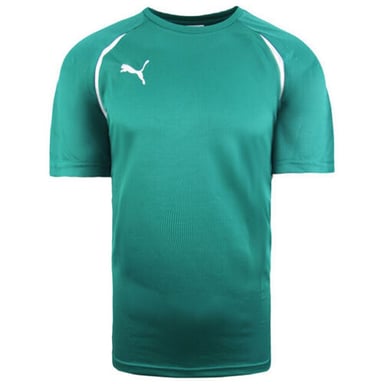 Puma Vencida Korte Mouw Crew Neck Groen Heren Voetbal Top 700754 05