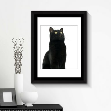 Combo of  Framed Art 2in1 Cute Black Cat Poster Framed Photo, Framed Art