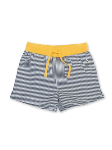 Kite Clothing Bumble Shorts
