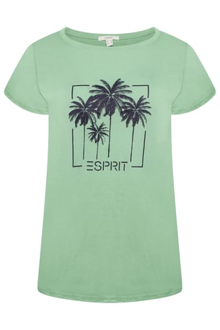 Esprit Ladies T-Shirt  Green