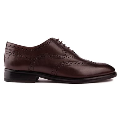 Ted Baker Amaiss Schoenen
