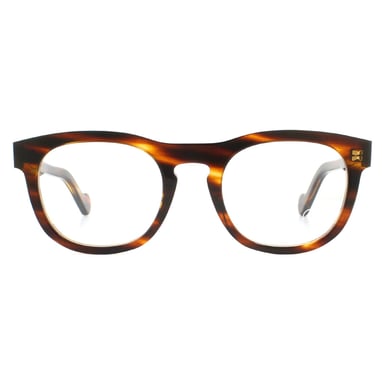 Moncler Round Havana Mens -brilframes