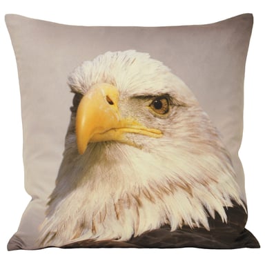 Dierlijke Arend 45X45 Poly Kussen