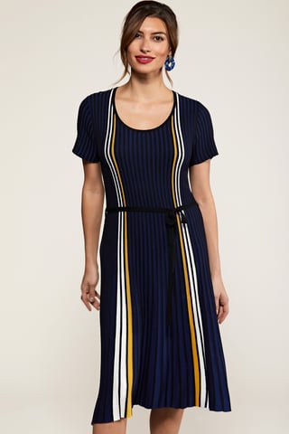 Navy Stripe Knit Pleated Dress