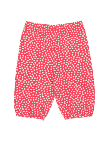 Kite Clothing Dotty Ali Babas