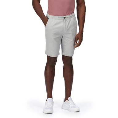 Regatta Heren Albie Shorts (Zilvergrijs)