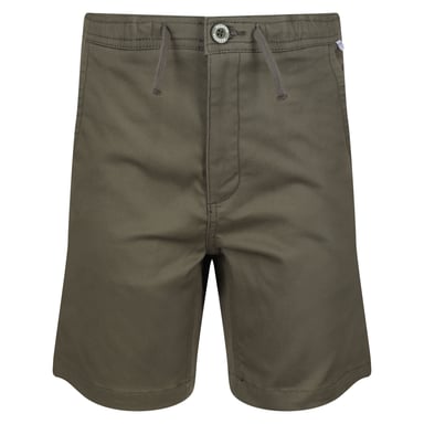 Regatta Kinderen/Kinderen Alber Ottoman Shorts (Druivenblad)