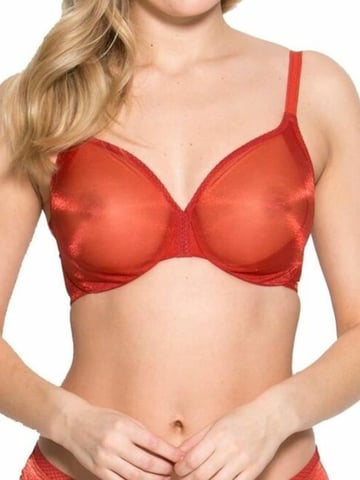 Glossies Sheer Plunge Bra