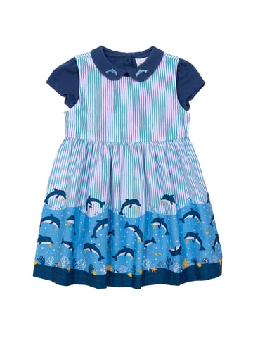 Kite Clothing Dolphin Dive Set