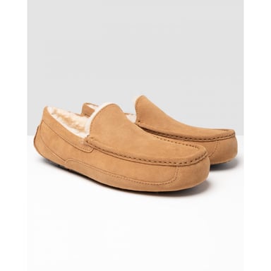 UGG Ascot Mens Slipper