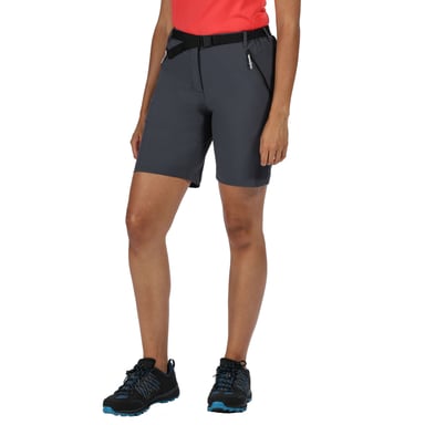 Regatta Dames/dames Xert III Stretch Shorts (Afdichting Grijs)
