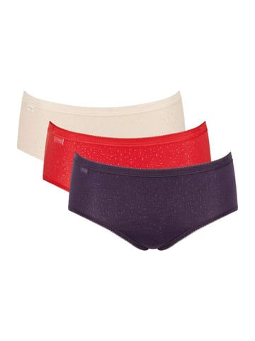 Basic+ Midi 3 Pack Briefs