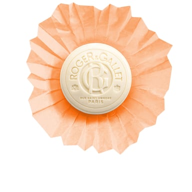 Œillet Mignardise Wellness Zeep 100 gr
