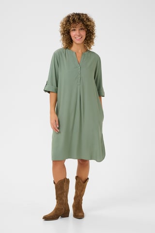 Jurk Straight fit Laurel Wreath light green
