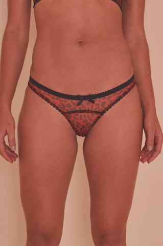Playful Promises Josie Leopard Mesh Picot Cheeky Brazilian Brief Core