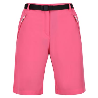 Regatta Dames/Dames Xert Stretch Shorts (Fruitduif)