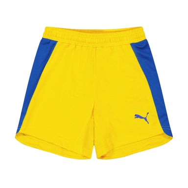 Puma Evo broek voor kinderen (Geel)