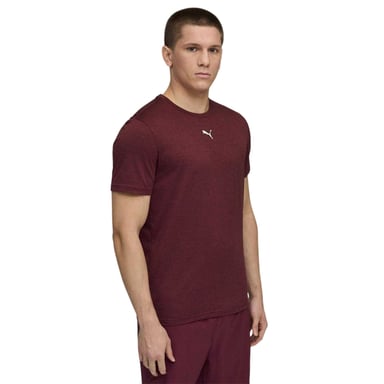 Puma Tad Performance-sport-T-shirt voor heren (Bourgondië)